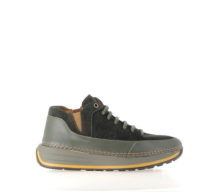 v2873i-foret_olive